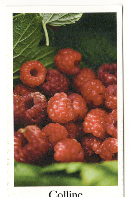 Capture d’écran 2025-11-12 à 18.58.37.png